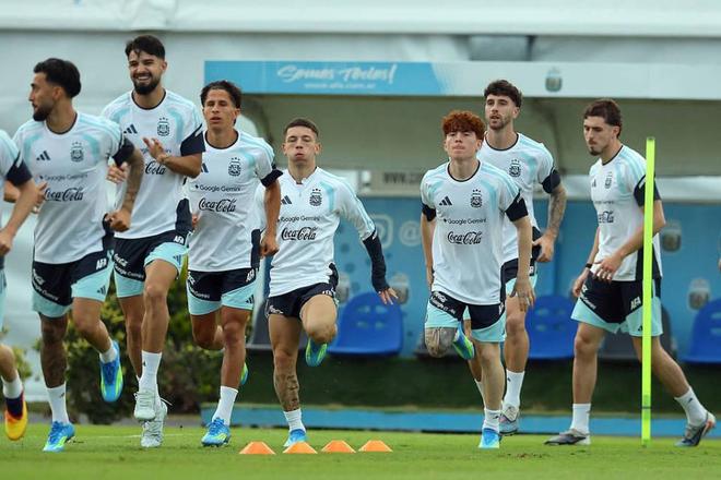 帕尼切利重伤无缘世界杯 阿根廷锋线再添隐患